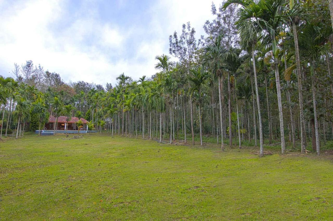 Stayvista At Tall Silver With Infinity Pool & Breakast Madikeri Bagian luar foto